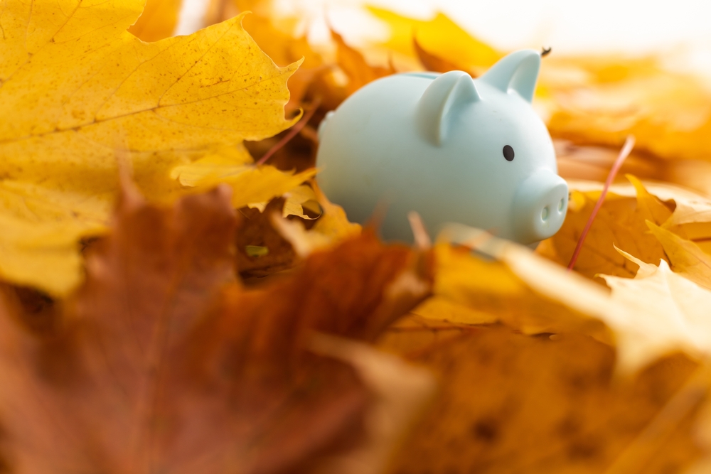 Pink,Piggy,Bank,In,Autumn,Leaves,On,The,Ground.,Autumn